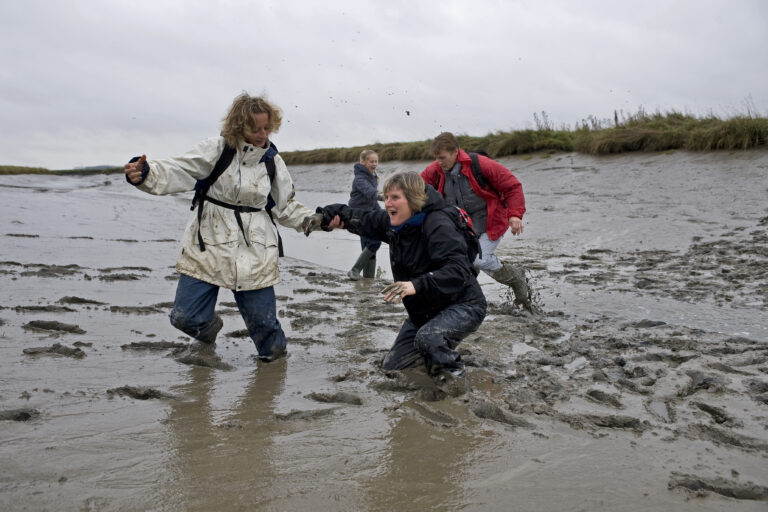 Vier mensen staan tot hun knieën in de modder in een nat landschap